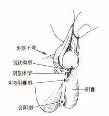 微信图片_20200323170516.jpg 邓金鍌于1942年合力创办的北平私立