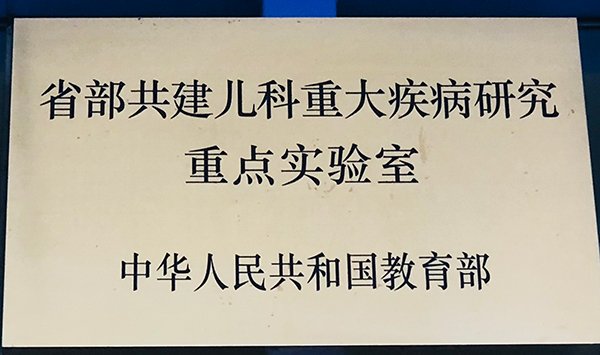 JNSPORTS手机版登录简介
